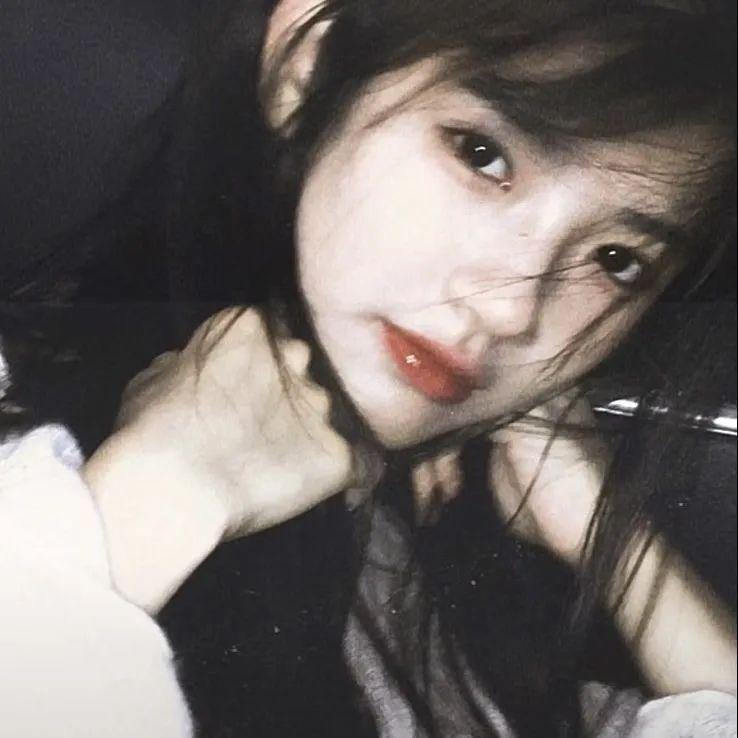 狗狗圣诞节